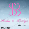 Shalin & Bhavya Wedding Logo